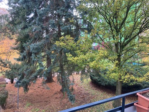 Aussicht Aussicht von der Loggia ins Grüne